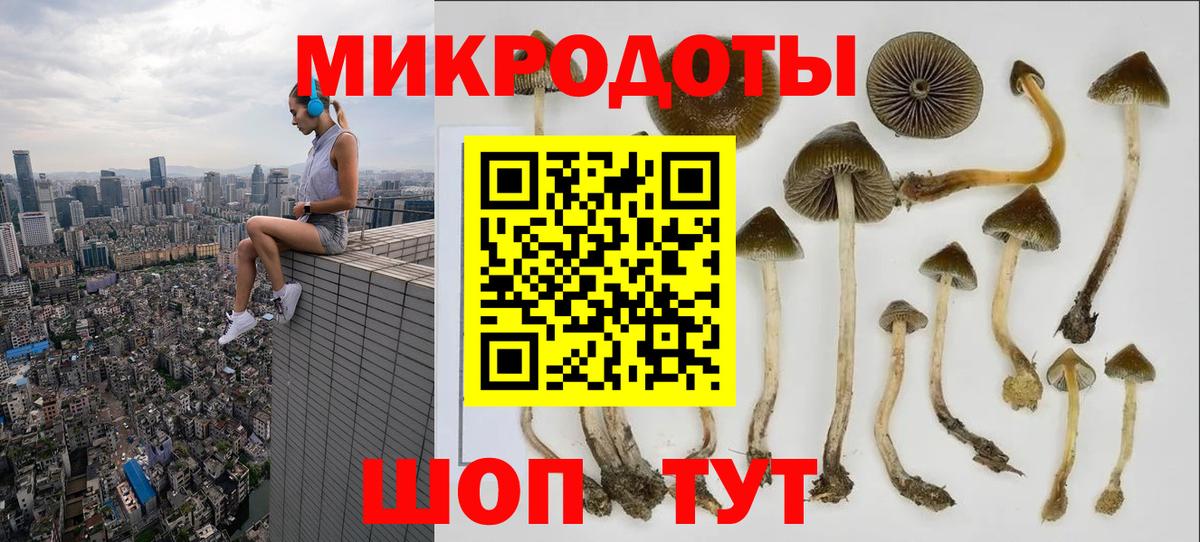 Псилоцибиновые грибы MAGIC MUSHROOMS Удомля