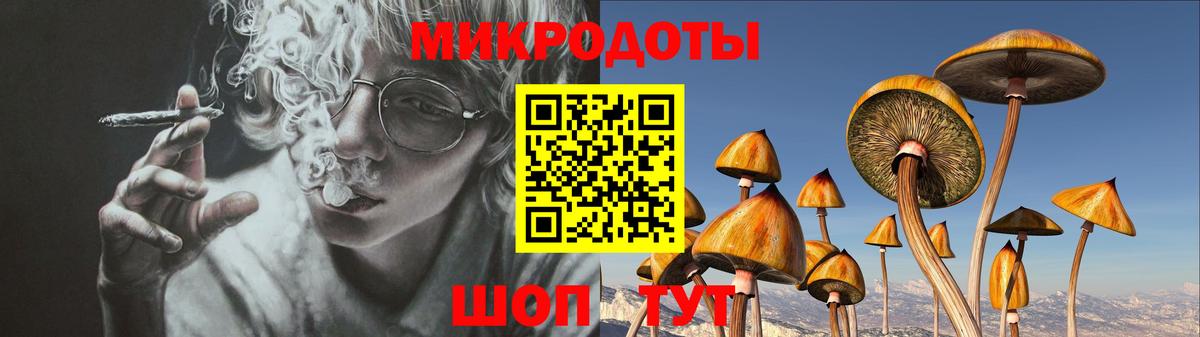 Галлюциногенные грибы ЛСД  Вход с VPN  Галлюциногенные грибы мухоморы  Удомля 